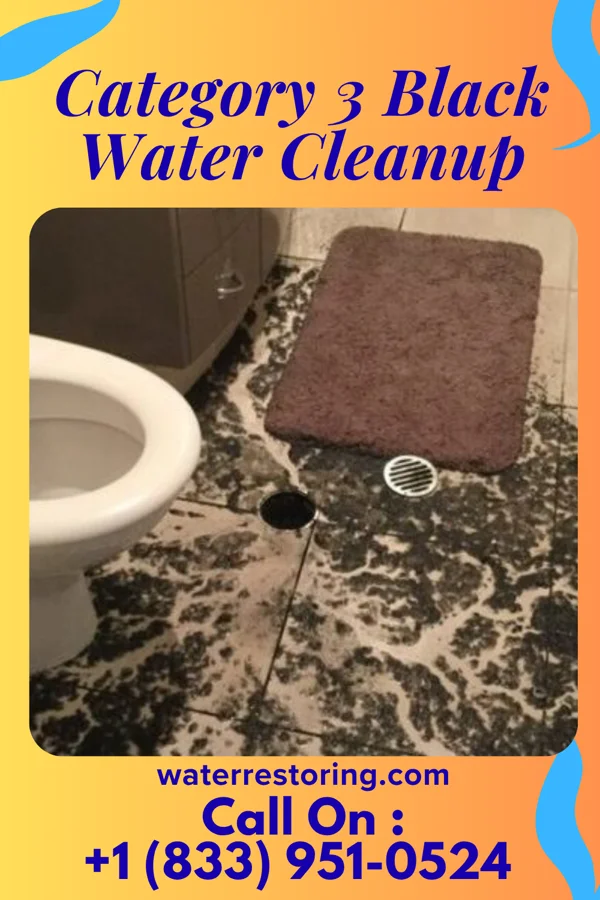 Category 3 Black Water Cleanup in Applewold, PA