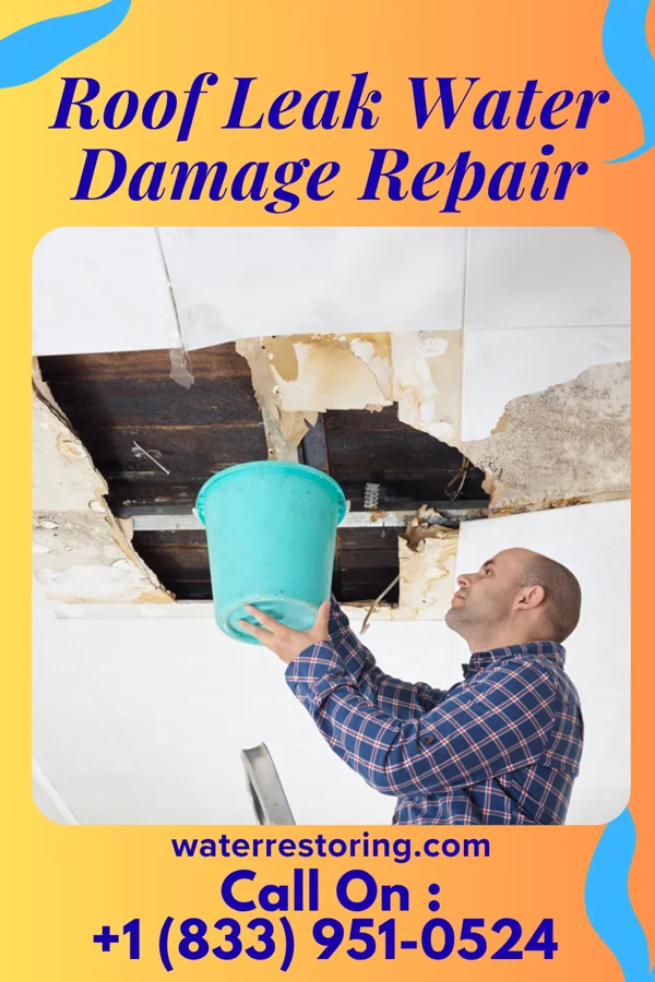 Roof Leak Water Damage Repair in Applewold, PA