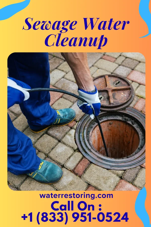 Sewage Water Cleanup in Applewold, PA
