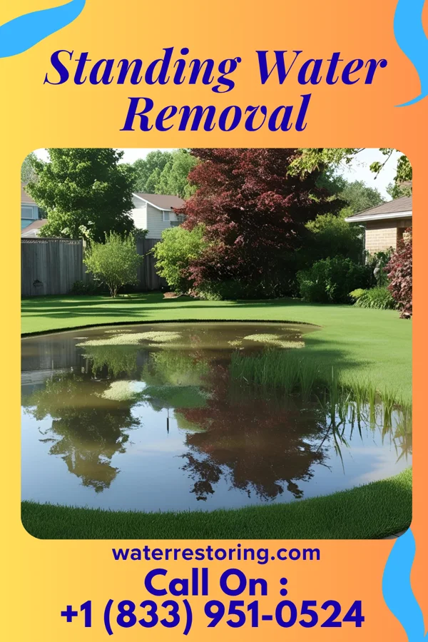 Standing Water Removal in Applewold, PA
